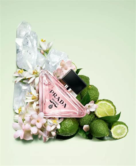 prada flower paris|prada paradoxe virtual perfume.